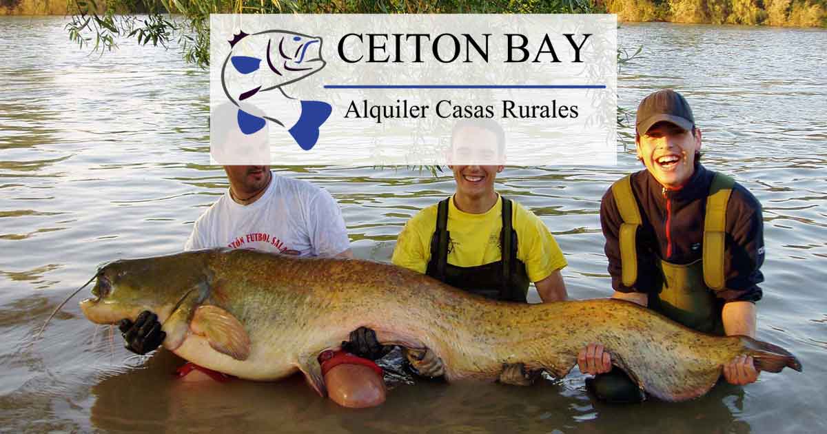 Different fish species in the Ebro, Spain - Ceitón fishing holidays off  grid cottage rental